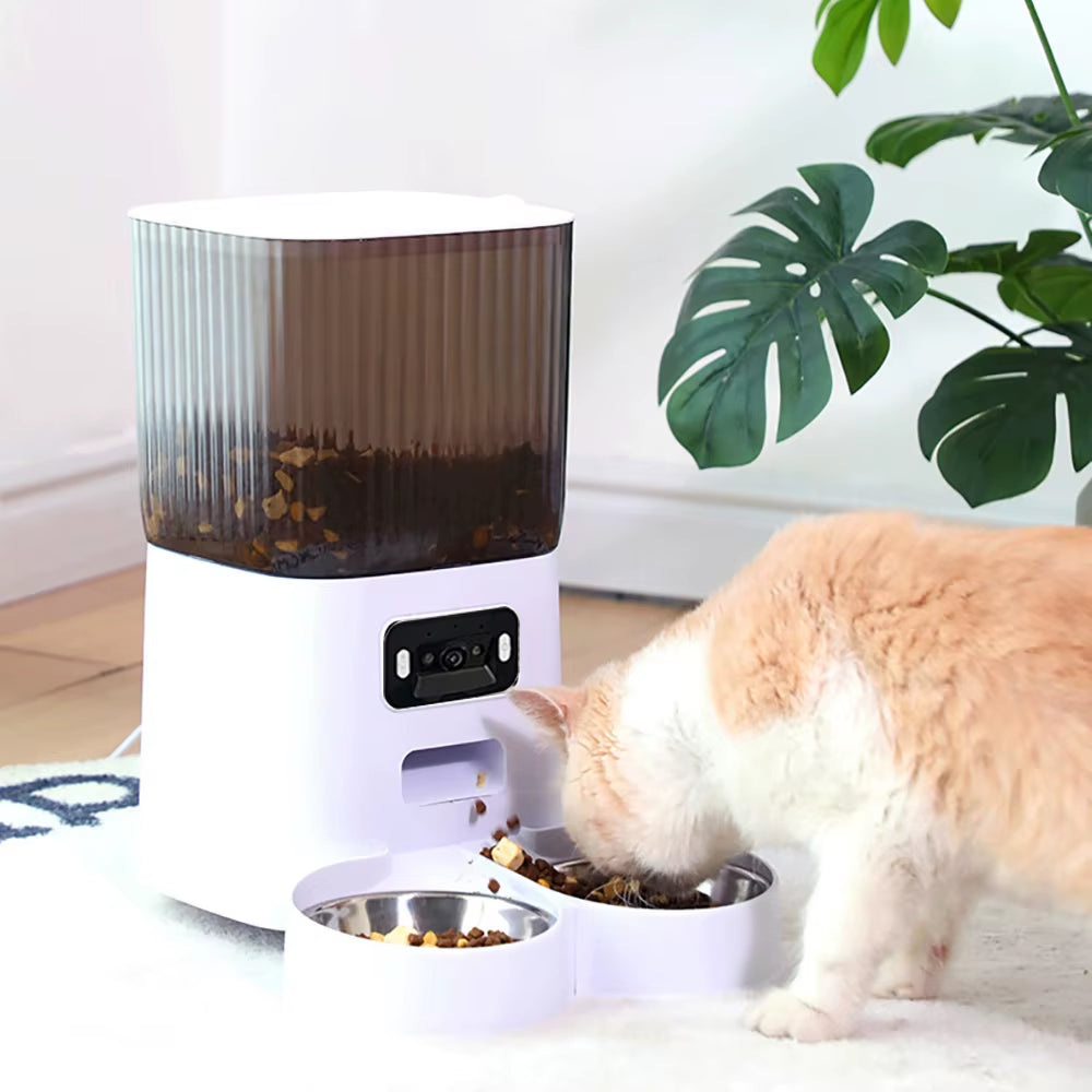 Distributeur automatique caméra intégré 