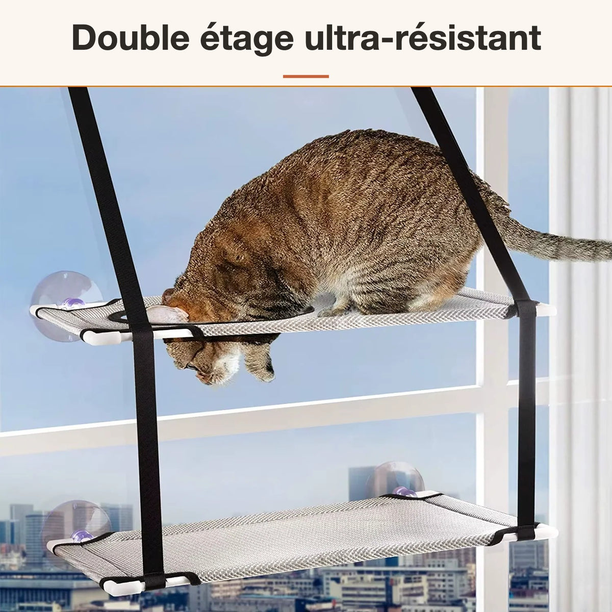 Perchoir Soleil – double étage